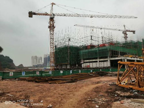 蓬安梧桐大院项目建设工程施工有序推进